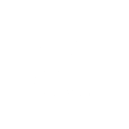 Rave of Madness